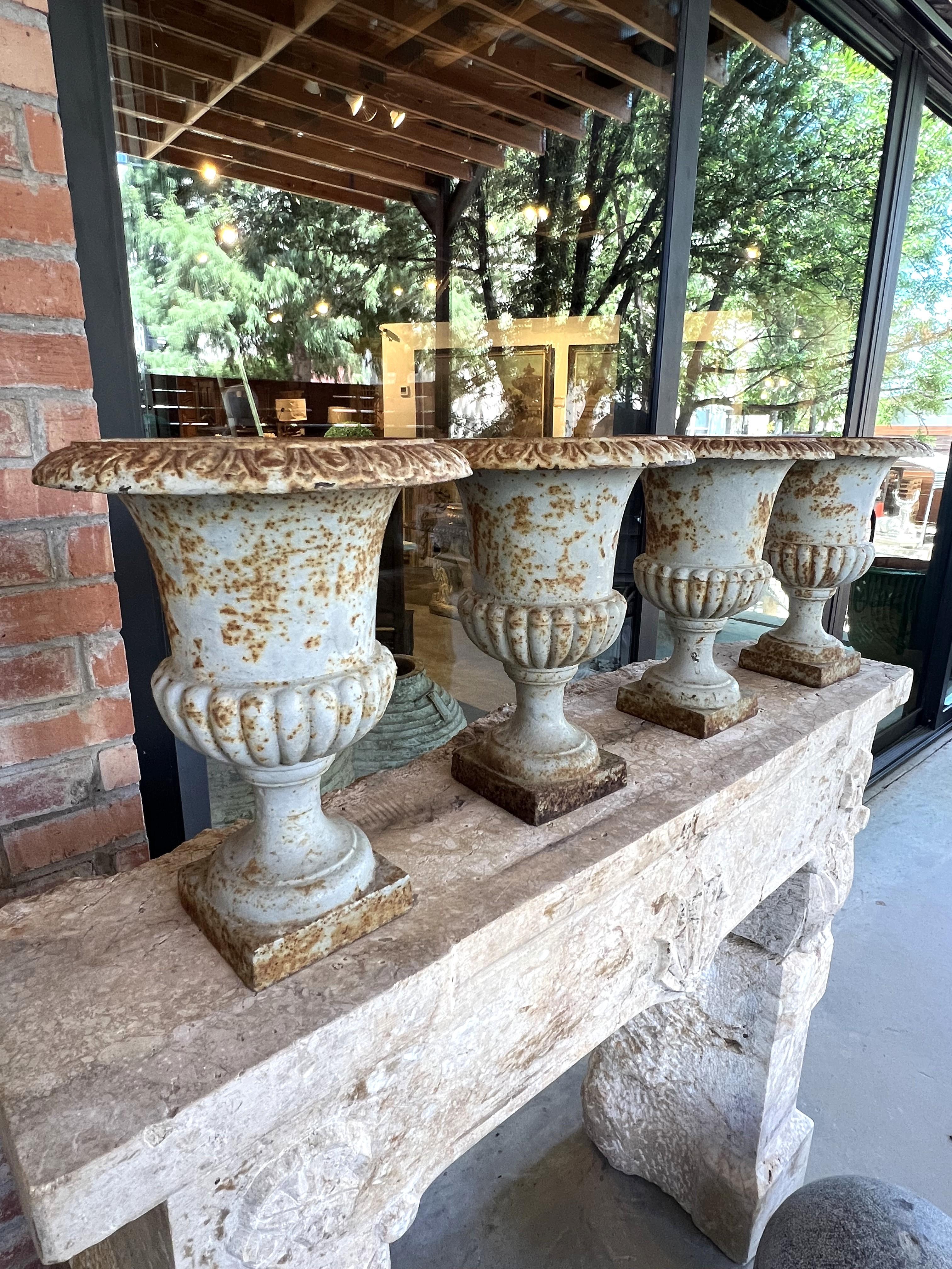 Suite von vier kleinen französischen blau bemalten gusseisernen Medici-Vasen, 19. C. im Zustand „Gut“ im Angebot in Dallas, TX