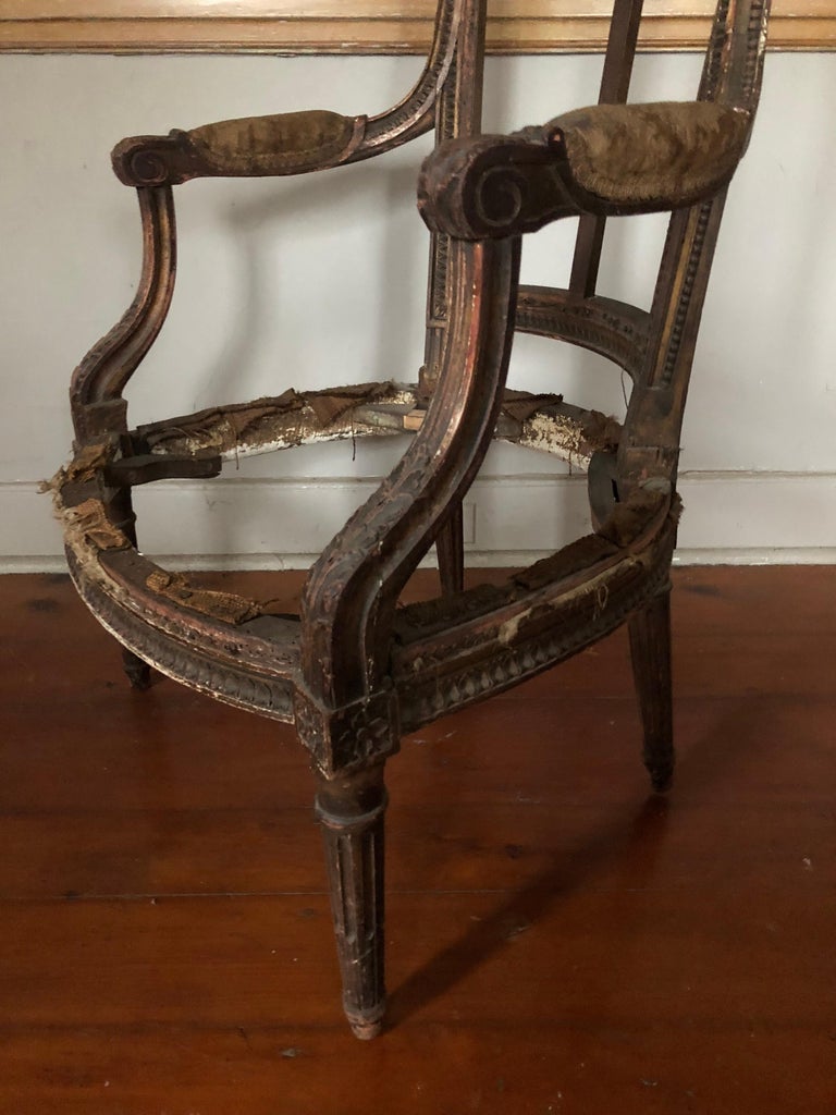 Suite of Four Louis XVI Style Chair Frames For Sale at 1stDibs