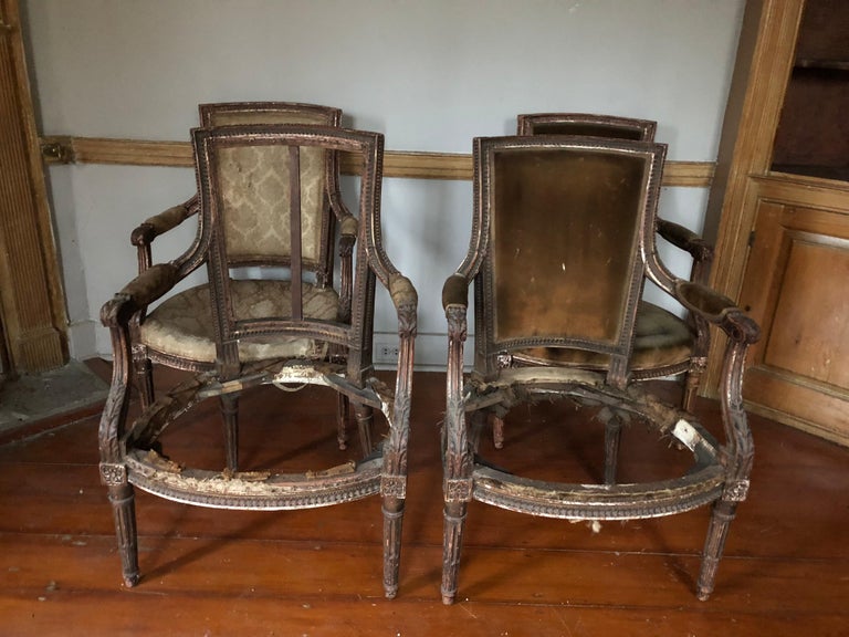 Suite of Four Louis XVI Style Chair Frames For Sale at 1stDibs
