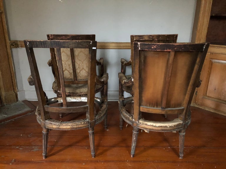 Suite of Four Louis XVI Style Chair Frames For Sale at 1stDibs