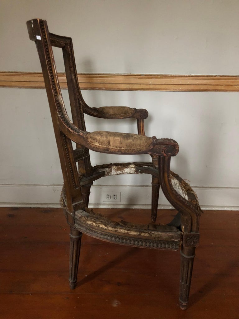 Suite of Four Louis XVI Style Chair Frames For Sale at 1stDibs