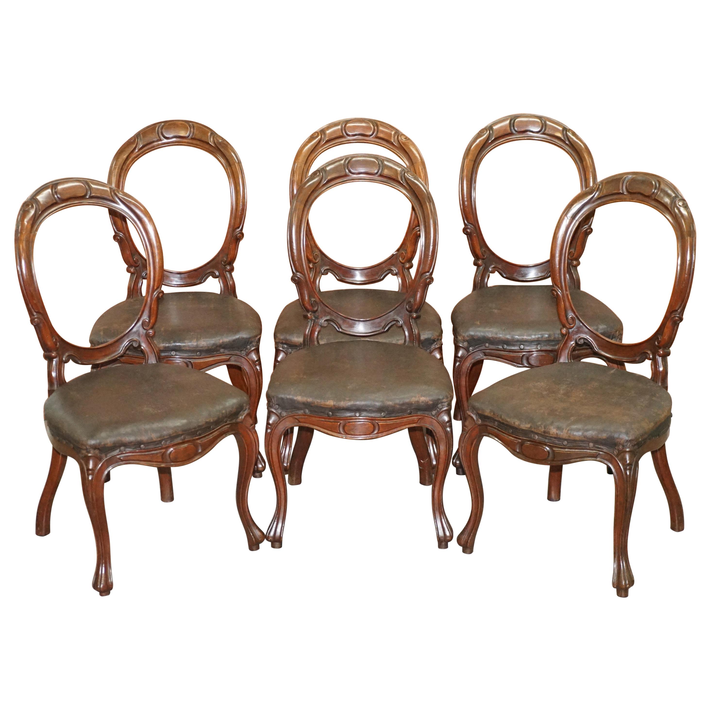 Suite of Six Victorian Hand Carved Hardwood Spoon Medallion Back Dining Chairs 6