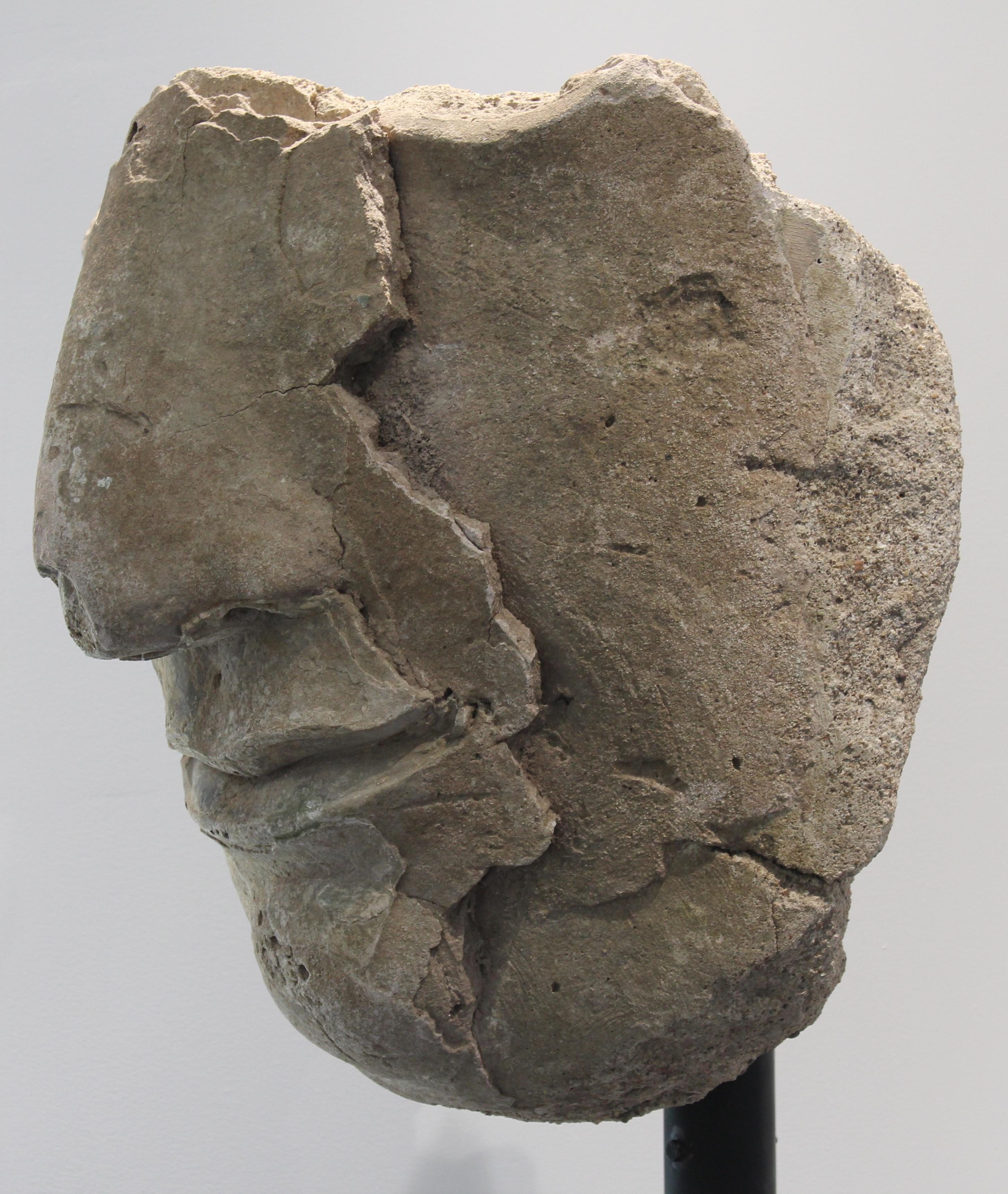 Sukhothai Fragmentary Stucco Buddha Head In Good Condition In New York, NY