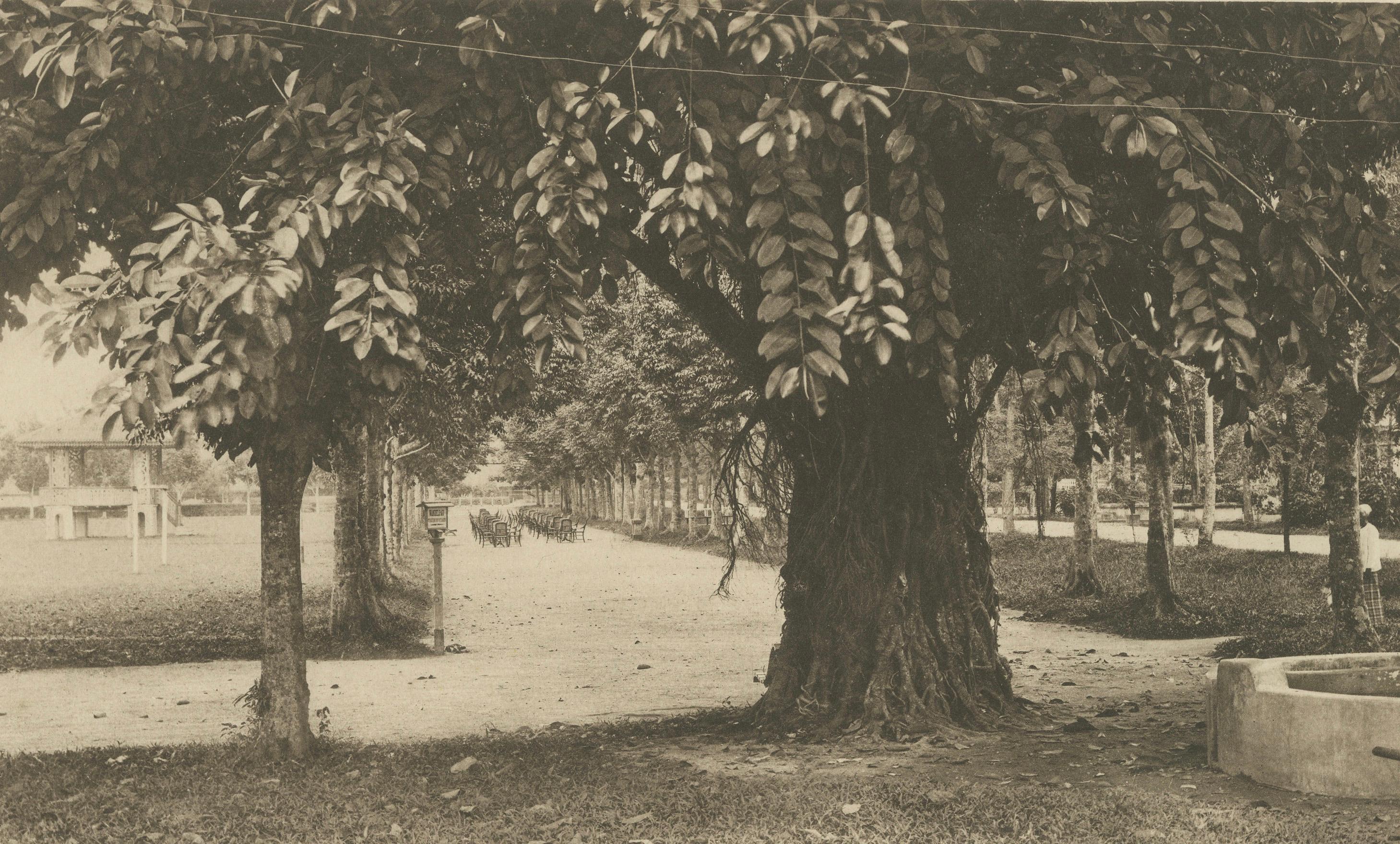 Medan Esplanade & Sultan Deli Palace, antica coppia di fotoincisioni di C.J. Kleingrothe, Sumatra c.1900

Questa fotoincisione originale dell'inizio del XX secolo presenta due vedute storiche di Medan, la capitale di Sumatra settentrionale durante