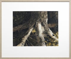 Expuestos, desarraigados