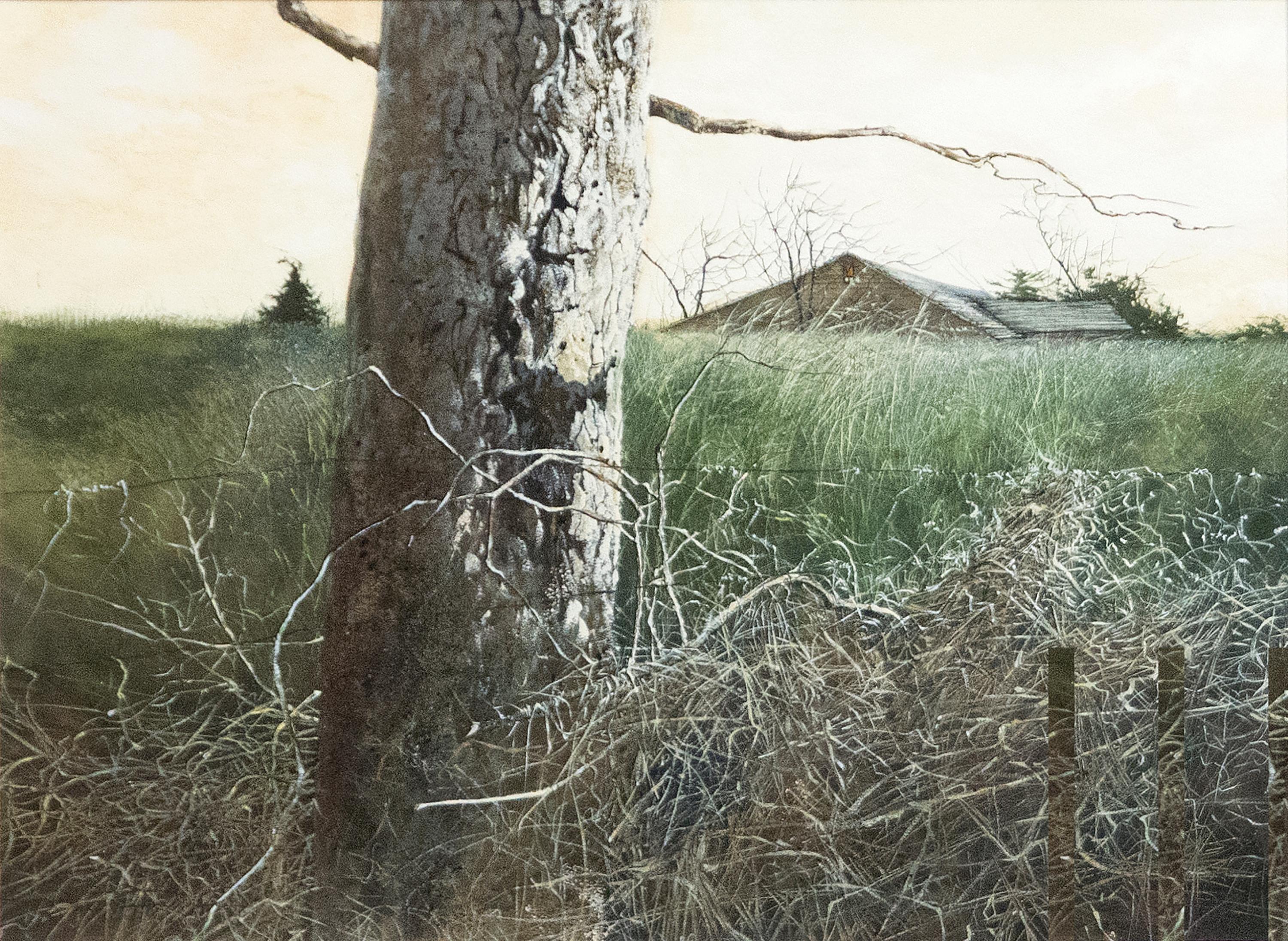 Landscape Painting SUMIDA, GREGORY - Torse Immuable