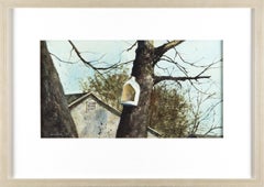 Plastic Feeder, Lockford, CA