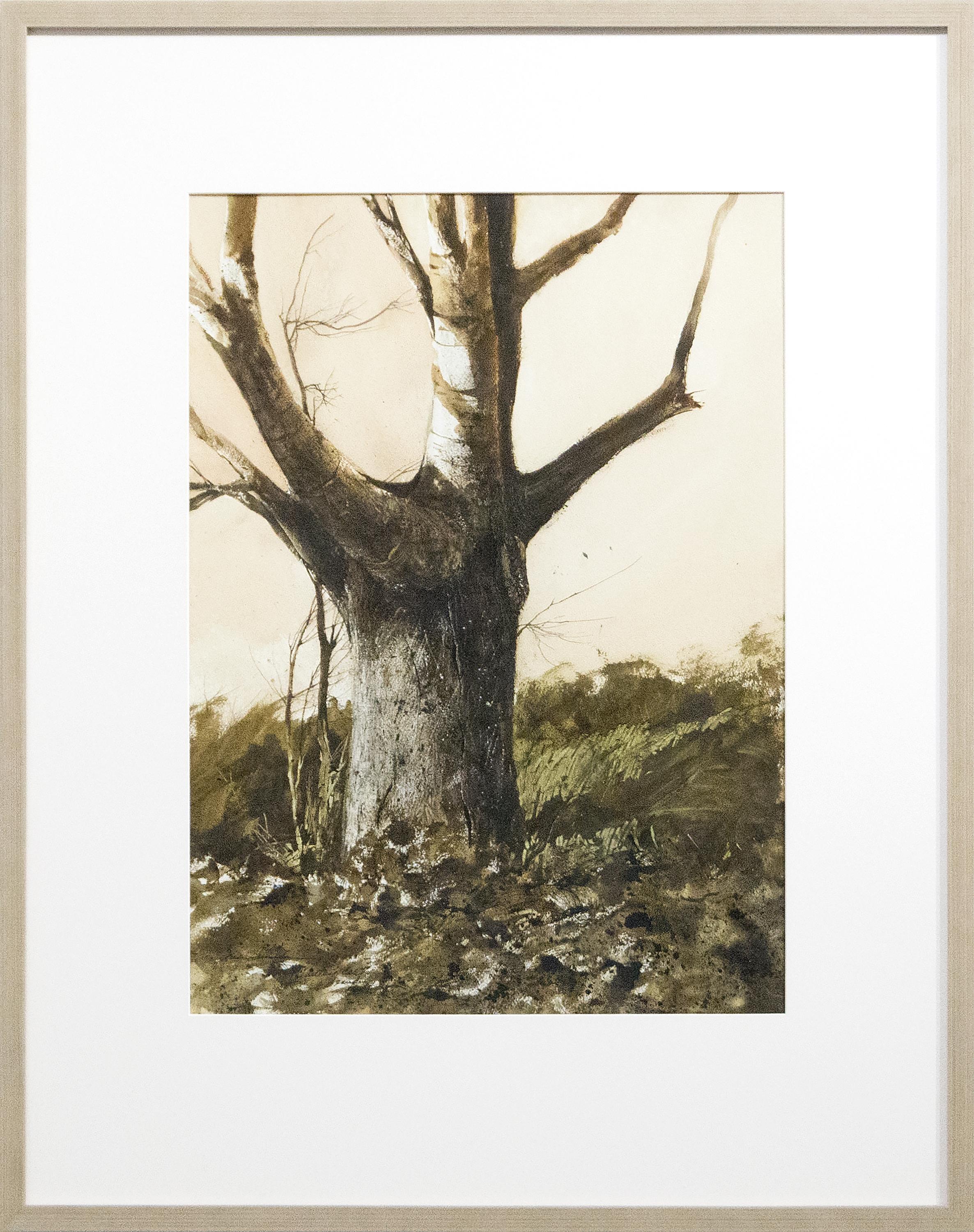 Tree Study, Whittier, CA - Painting by SUMIDA, GREGORY