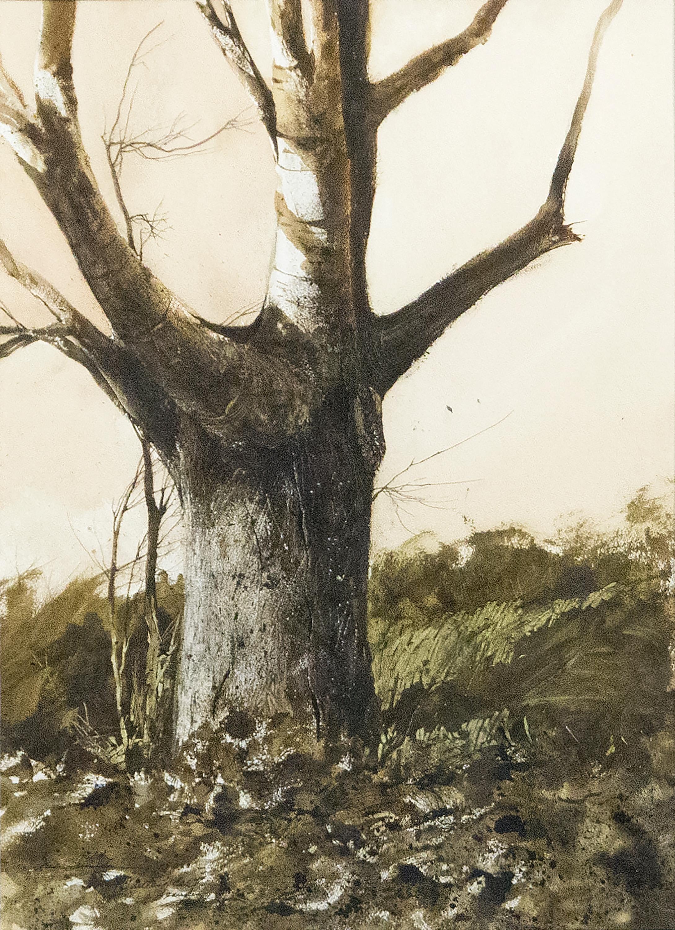 SUMIDA, GREGORY Landscape Painting - Tree Study, Whittier, CA