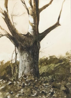 Studio dell'albero, Whittier, CA
