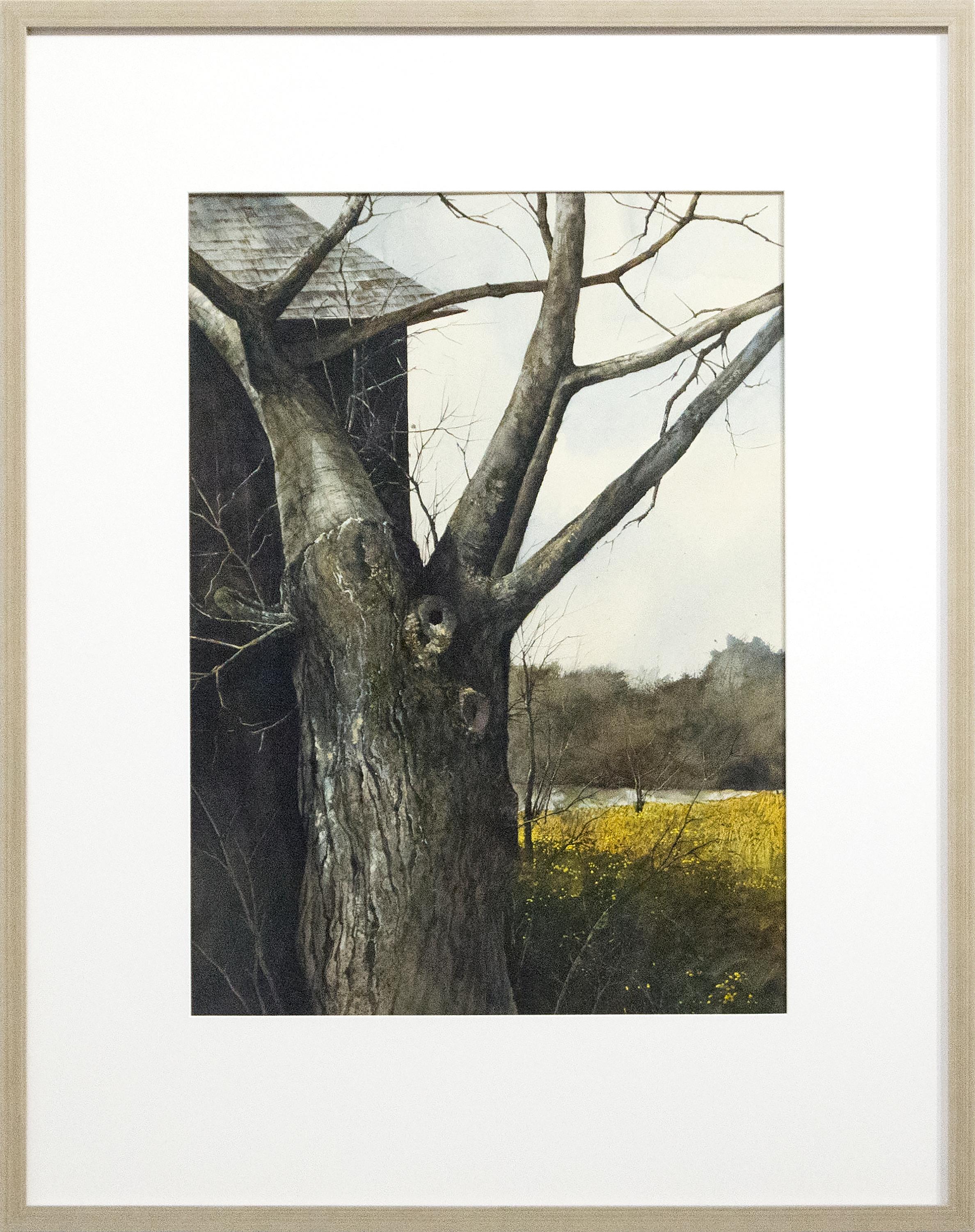 Albero con rami spogli - Painting di SUMIDA, GREGORY