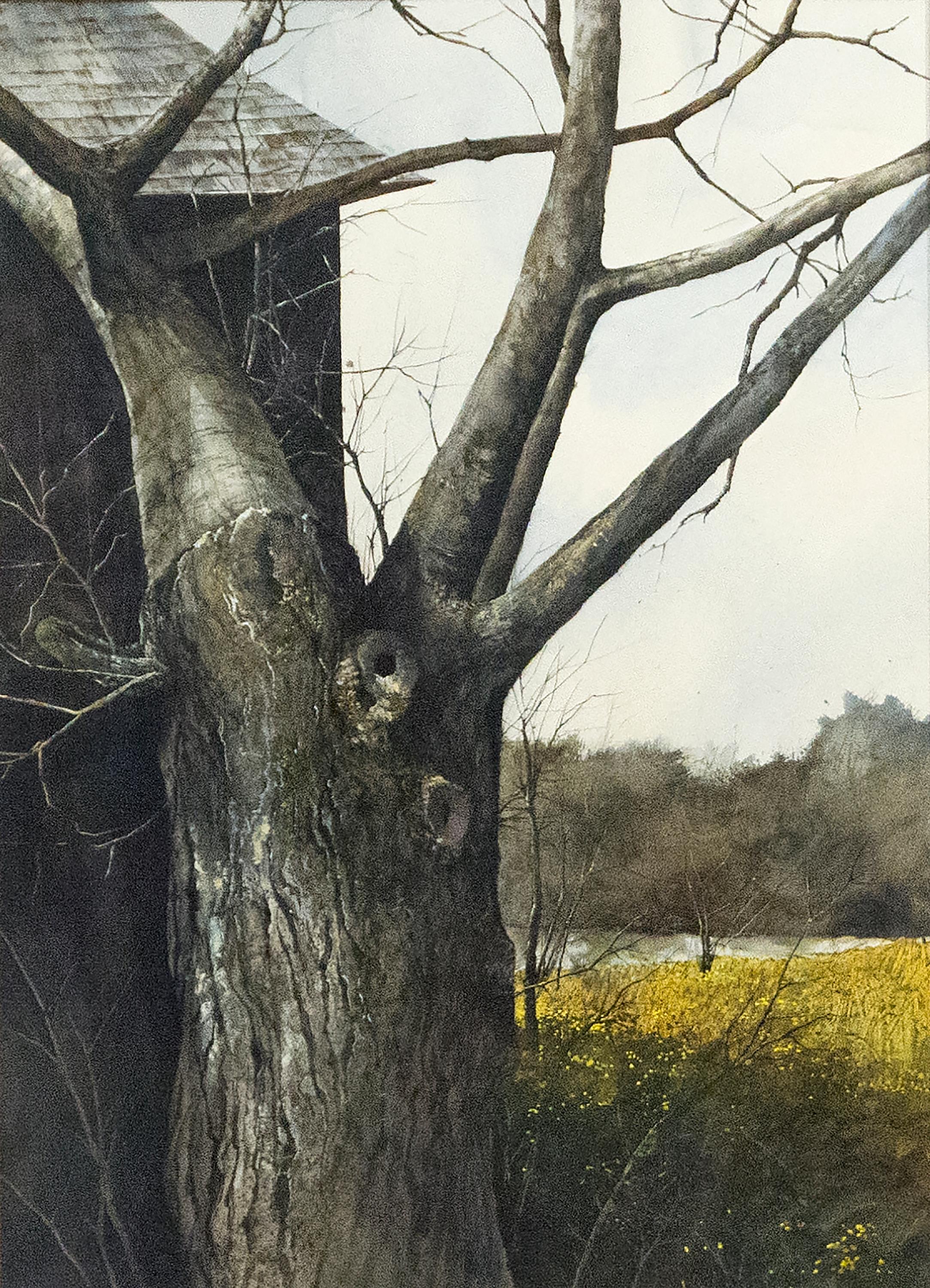 Landscape Painting di SUMIDA, GREGORY - Albero con rami spogli
