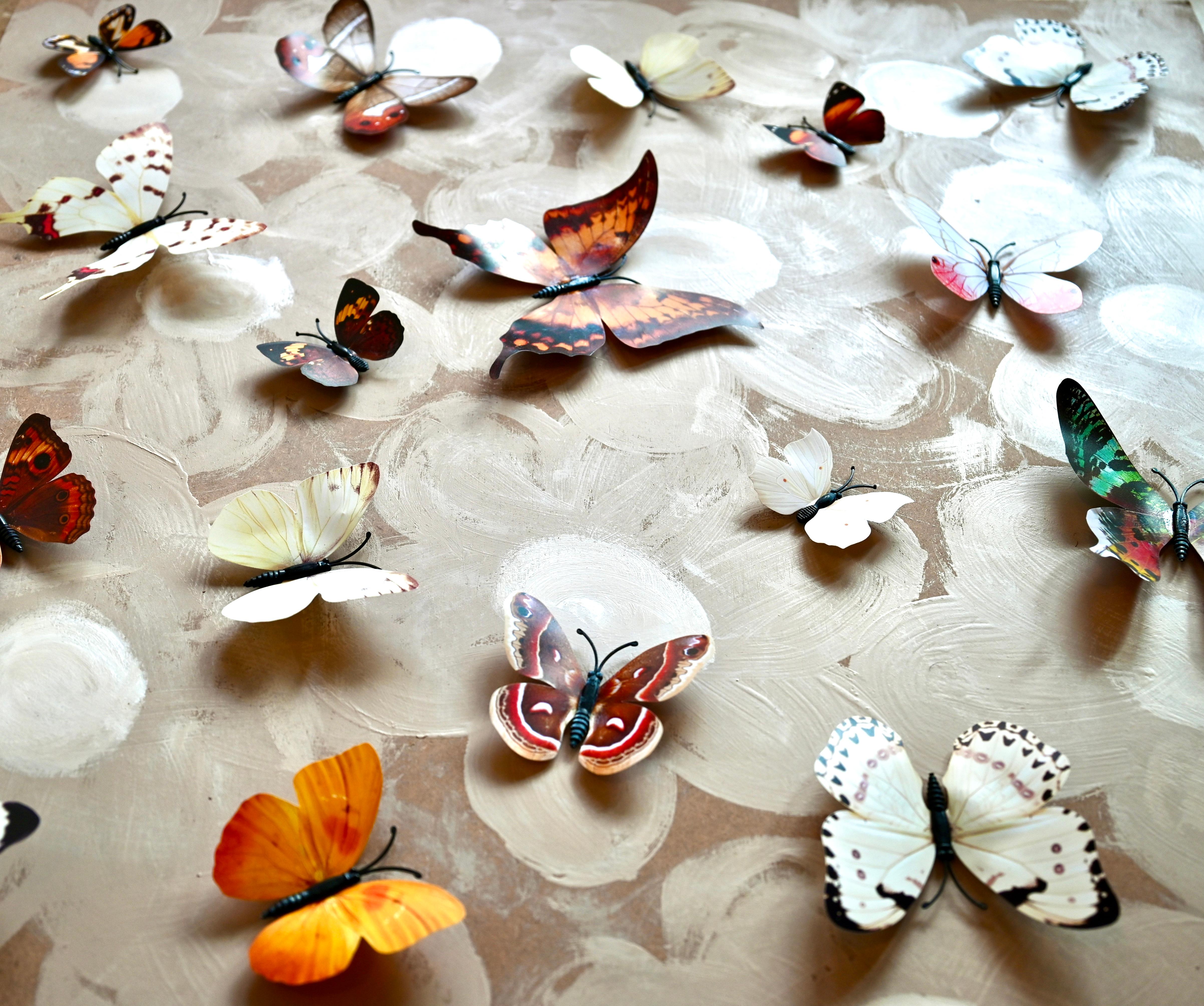 Art contemporain indien de Sumit Mehndiratta - Butterfly Park 10 en vente 1