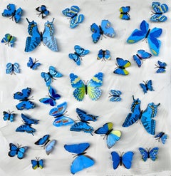Indian Contemporary Art by Sumit Mehndiratta - Butterfly Park 11