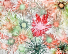 Art contemporain indien de Sumit Mehndiratta - Série Exploflora Coraux féminins