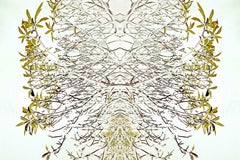 Arte contemporanea indiana di Sumit Mehndiratta - Frangipani in Bliss