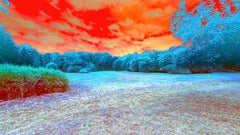 Indian Contemporary Art by Sumit Mehndiratta - Polarized Landscape