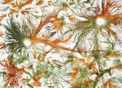 Indian Contemporary Art by Sumit Mehndiratta - Exploflora Series No.76