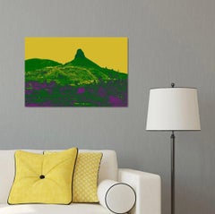 Arte contemporáneo indio de Sumit Mehndiratta - Paisaje de Andy