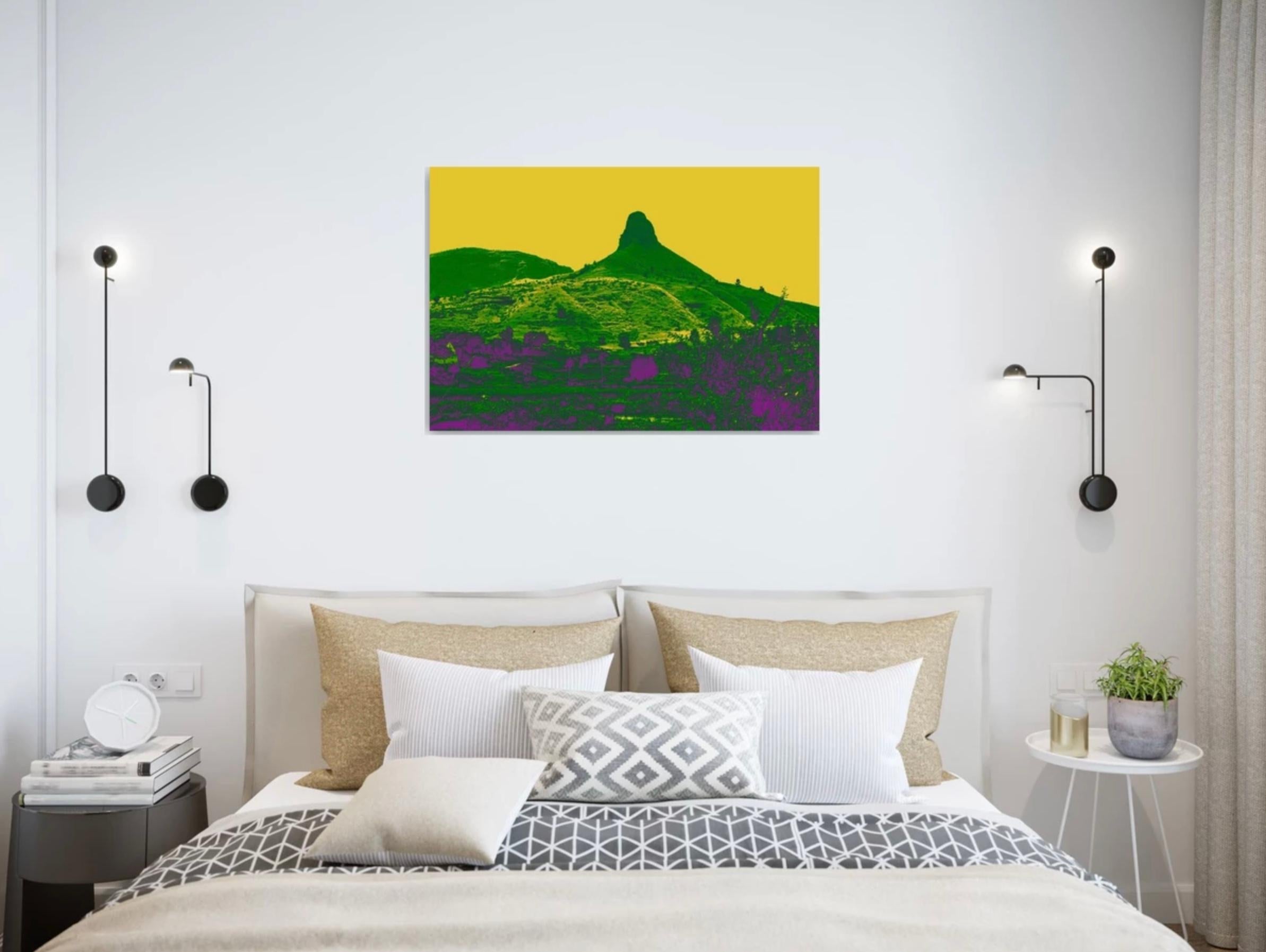 Arte contemporanea indiana di Sumit Mehndiratta - Il paesaggio di Andy in vendita 2