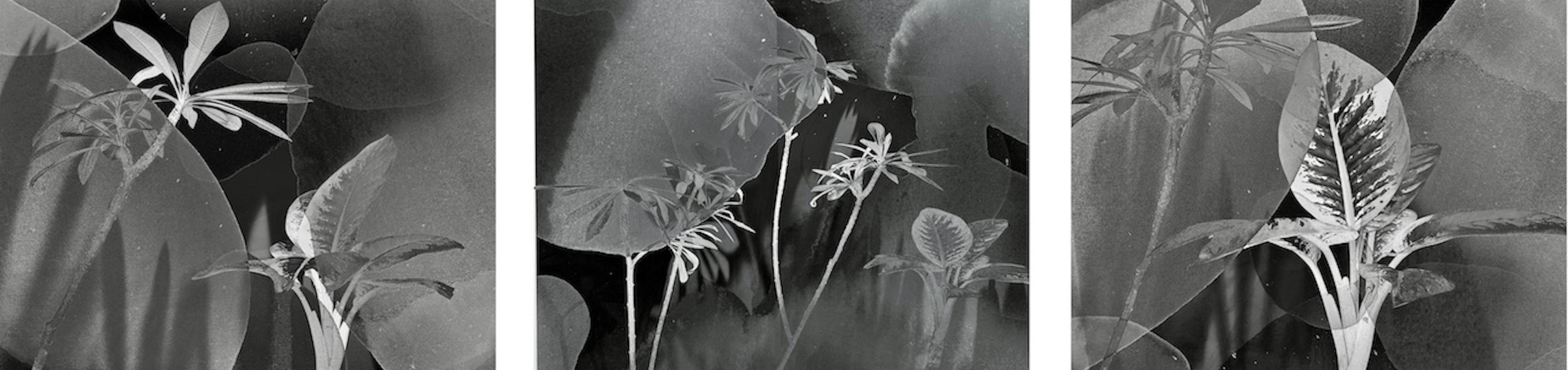 Indian Contemporary Art by Sumit Mehndiratta - Back and Forth
