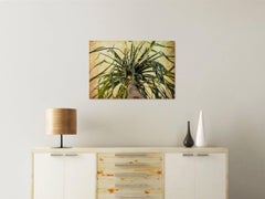 Indian Contemporary Art by Sumit Mehndiratta - Botanic Archives