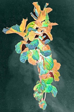 Indische zeitgenössische Kunst von Sumit Mehndiratta - Schwimmende Feigenpflanze