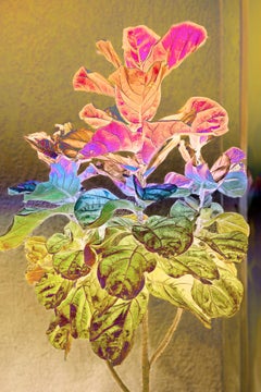 Indische zeitgenössische Kunst von Sumit Mehndiratta - Golden Fig