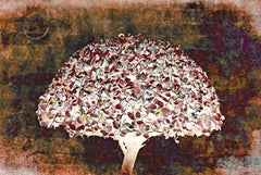 Indian Contemporary Art By Sumit Mehndiratta - Leaf Cloud