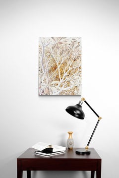 L'arte contemporanea indiana di Sumit Mehndiratta - Peaking Autumn