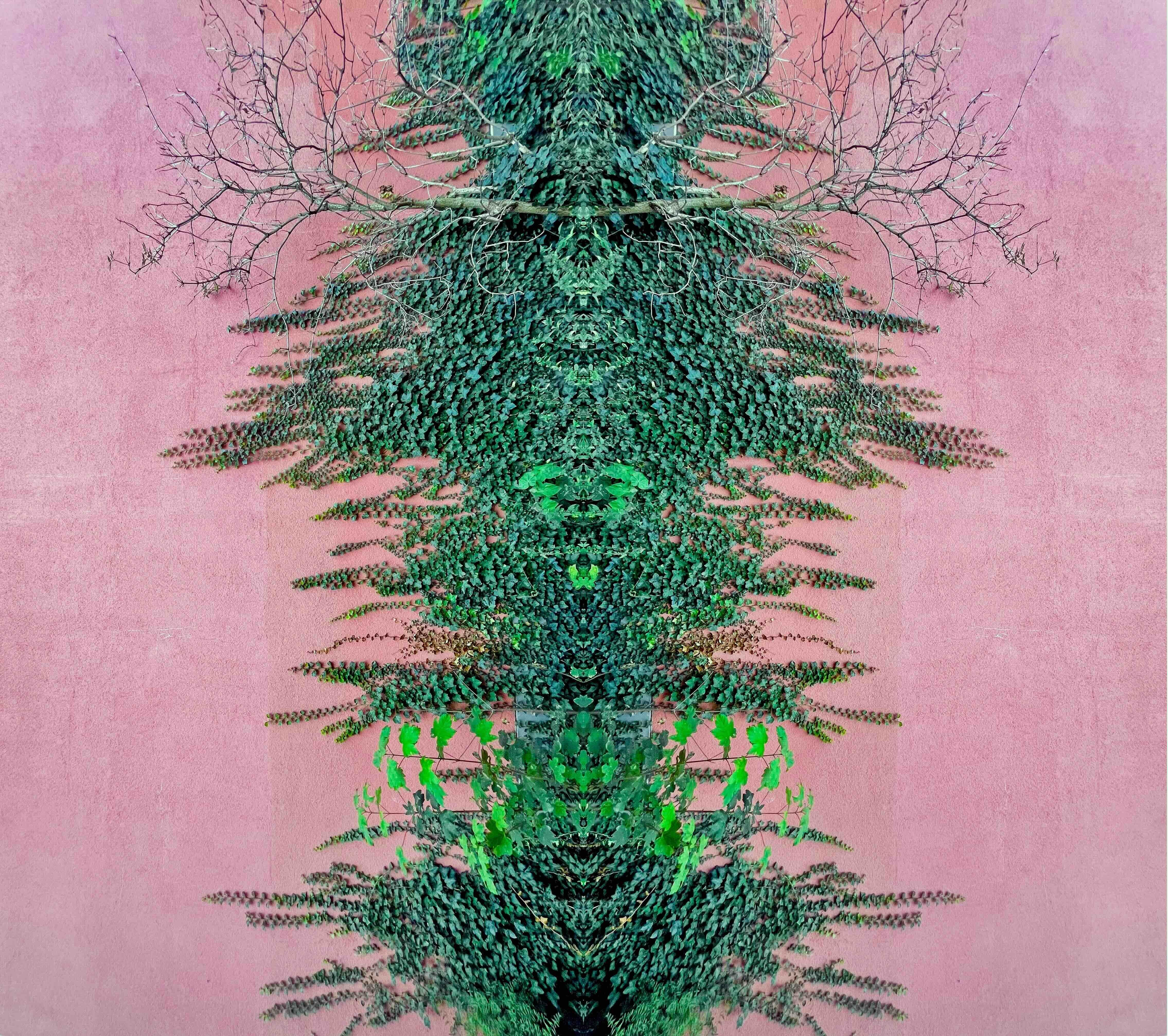 Arte contemporanea indiana di Sumit Mehndiratta - Root Reverse