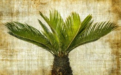 Arte contemporanea indiana di Sumit Mehndiratta - Spiked in Greene & Greene