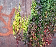 Art contemporain indien de Sumit Mehndiratta - Symbio Mutasis