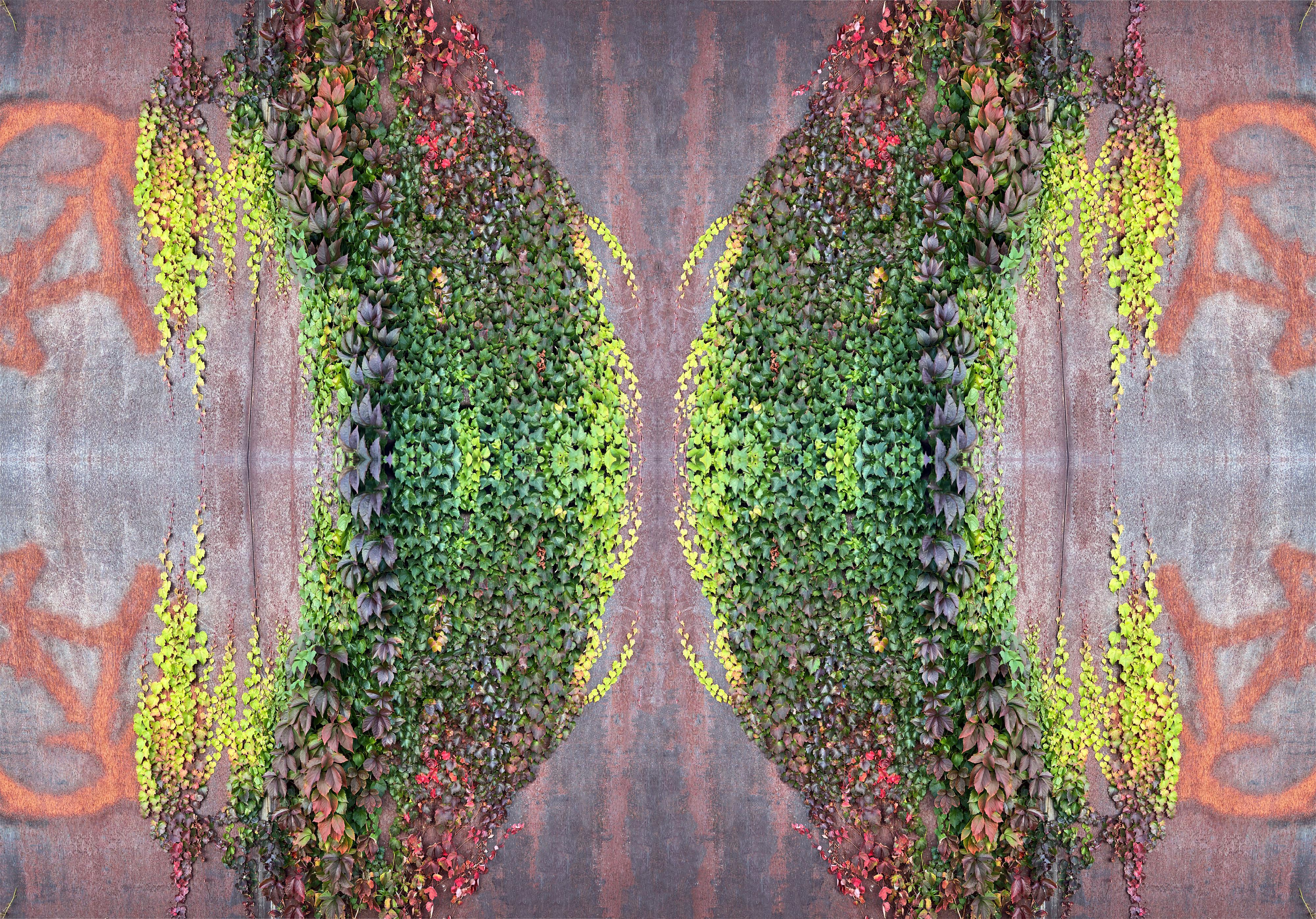 Art contemporain indien de Sumit Mehndiratta - Symbio Mutasis