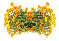Arte contemporanea indiana di Sumit Mehndiratta - Two to Bloom