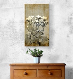 Zeitgenössische indische Kunst von Sumit Mehndiratta - Vintage Jasmine
