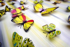 Arte contemporáneo indio de Sumit Mehndiratta - Parque de las Mariposas 4