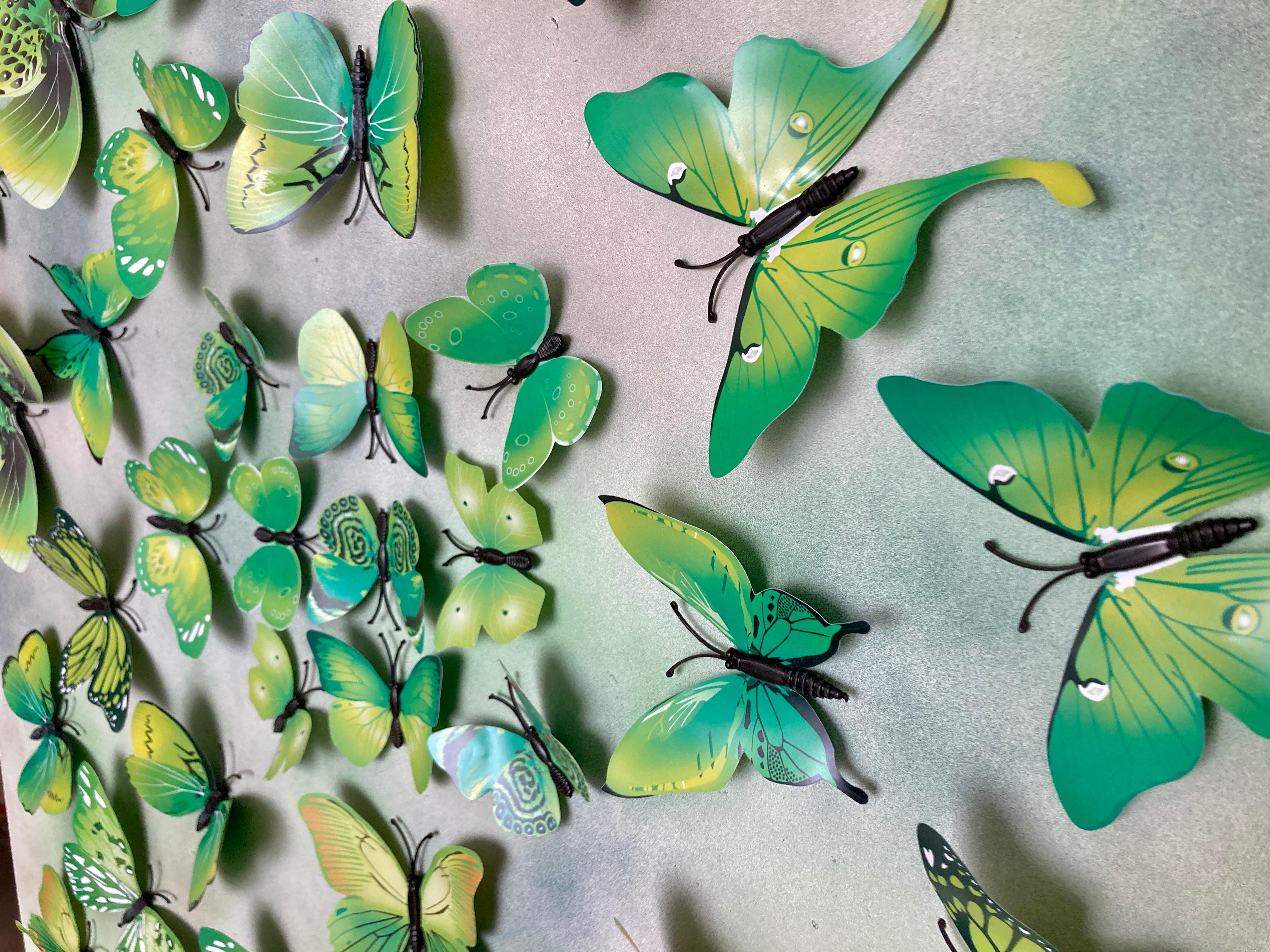 Art contemporain indien de Sumit Mehndiratta - Butterfly Park 7 en vente 1