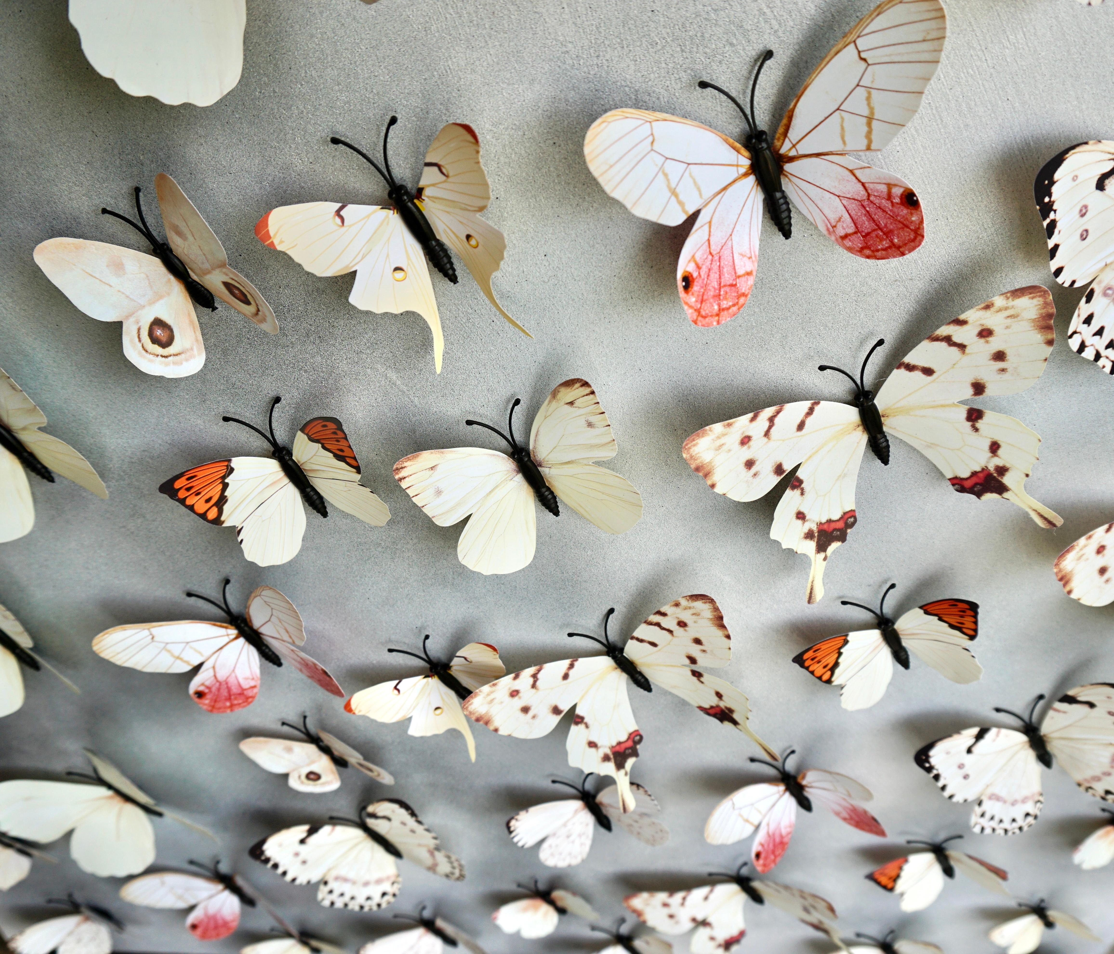 Indian Contemporary Art by Sumit Mehndiratta - Butterfly Park 9 For Sale 1