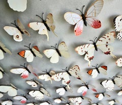 Art contemporain indien de Sumit Mehndiratta - Butterfly Park 9