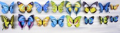 Zeitgenössische indische Kunst von Sumit Mehndiratta - Kosmische Schmetterlinge