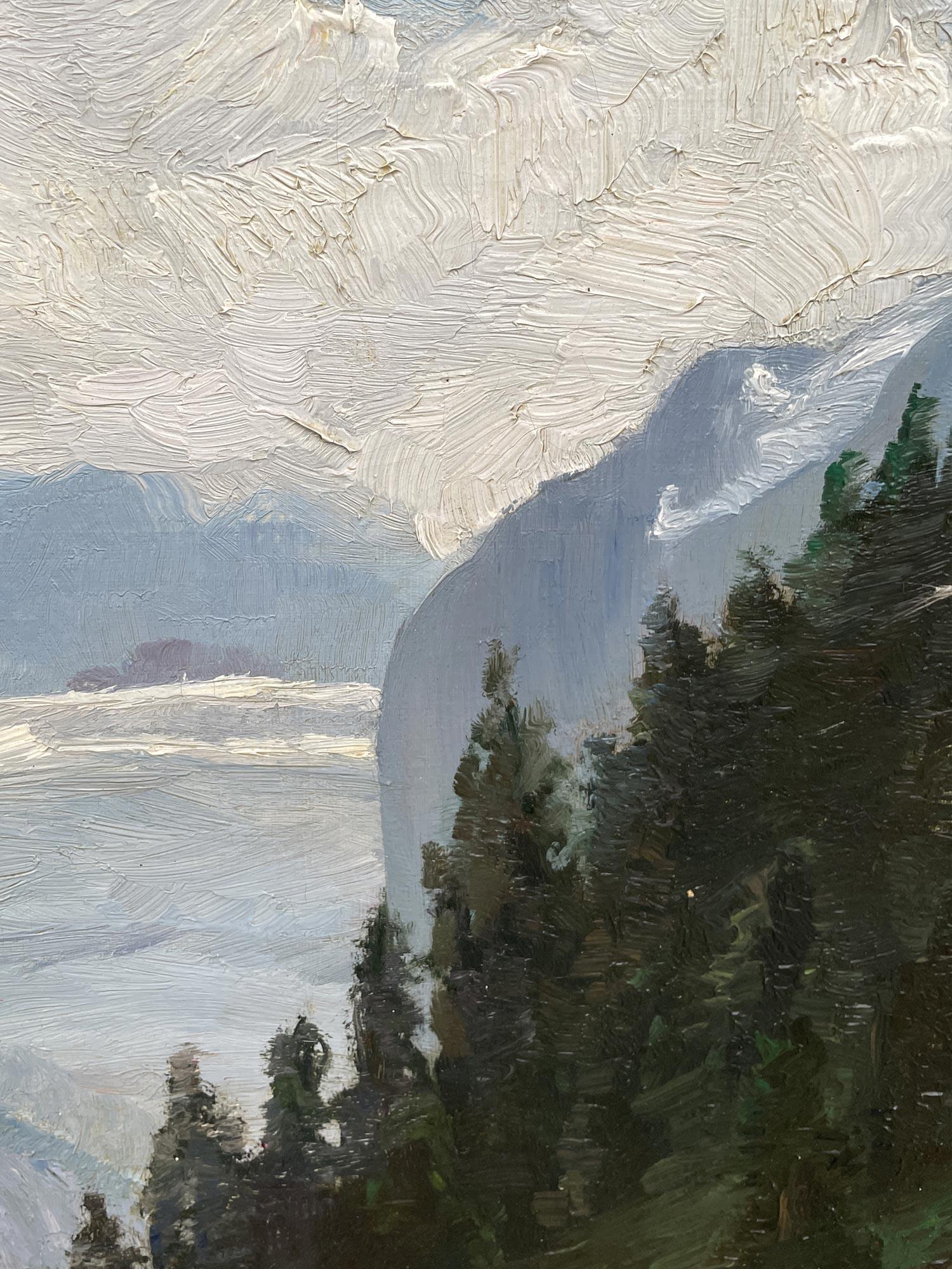 Summer Alpine Landscape Oil on Canvas 1950 For Sale 3