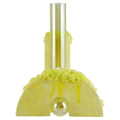 Summer Cochlea Della Metamorfosi 1 Seasons Edition Vase by Coki Barbieri