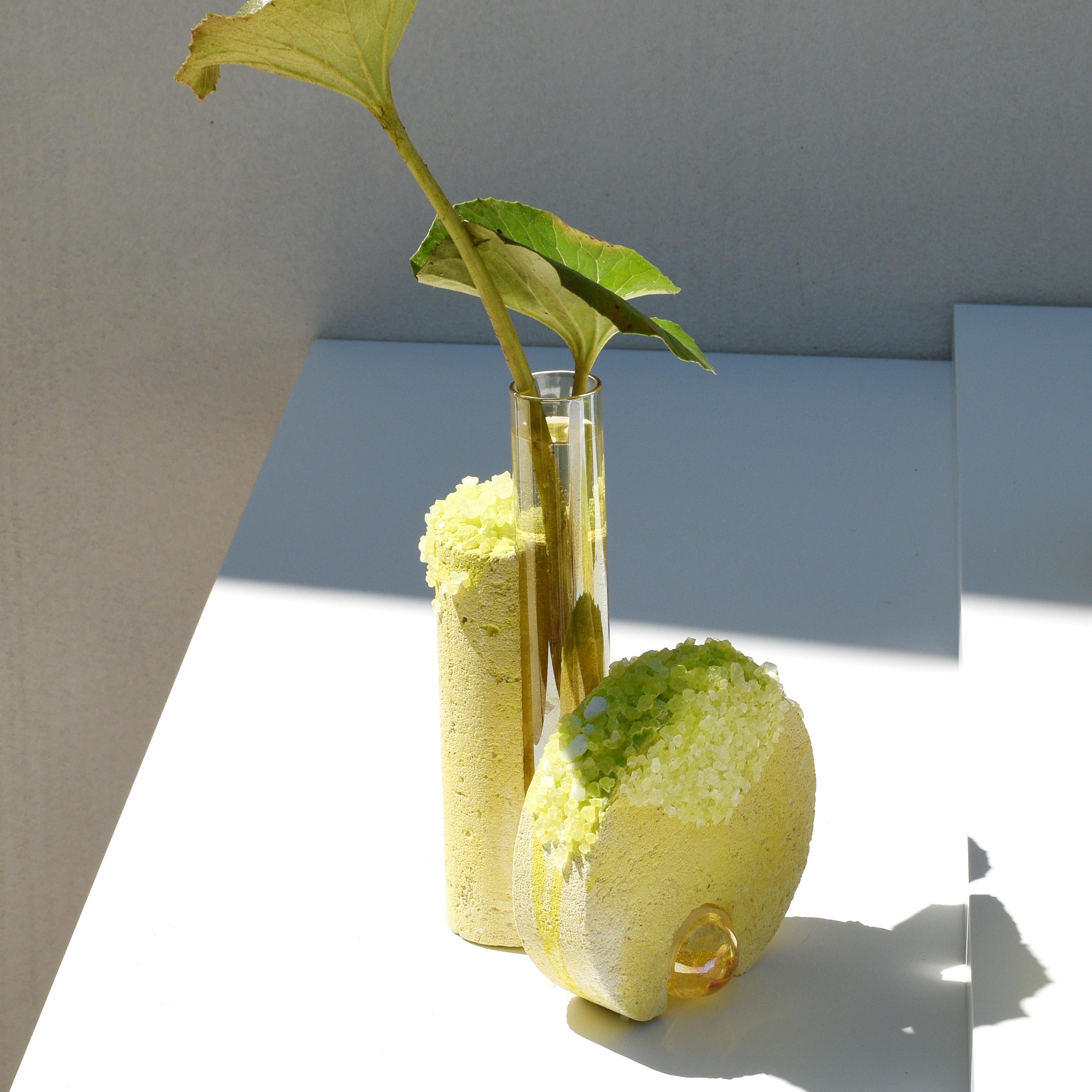 Sommer-Vase „Cochlea Della Metamorfosi 2 Seasons“ von Coki Barbieri (21. Jahrhundert und zeitgenössisch) im Angebot