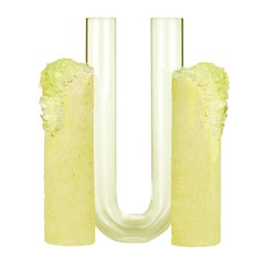 Summer Cochlea Dello Sviluppo Seasons Edition Vase by Coki Barbieri