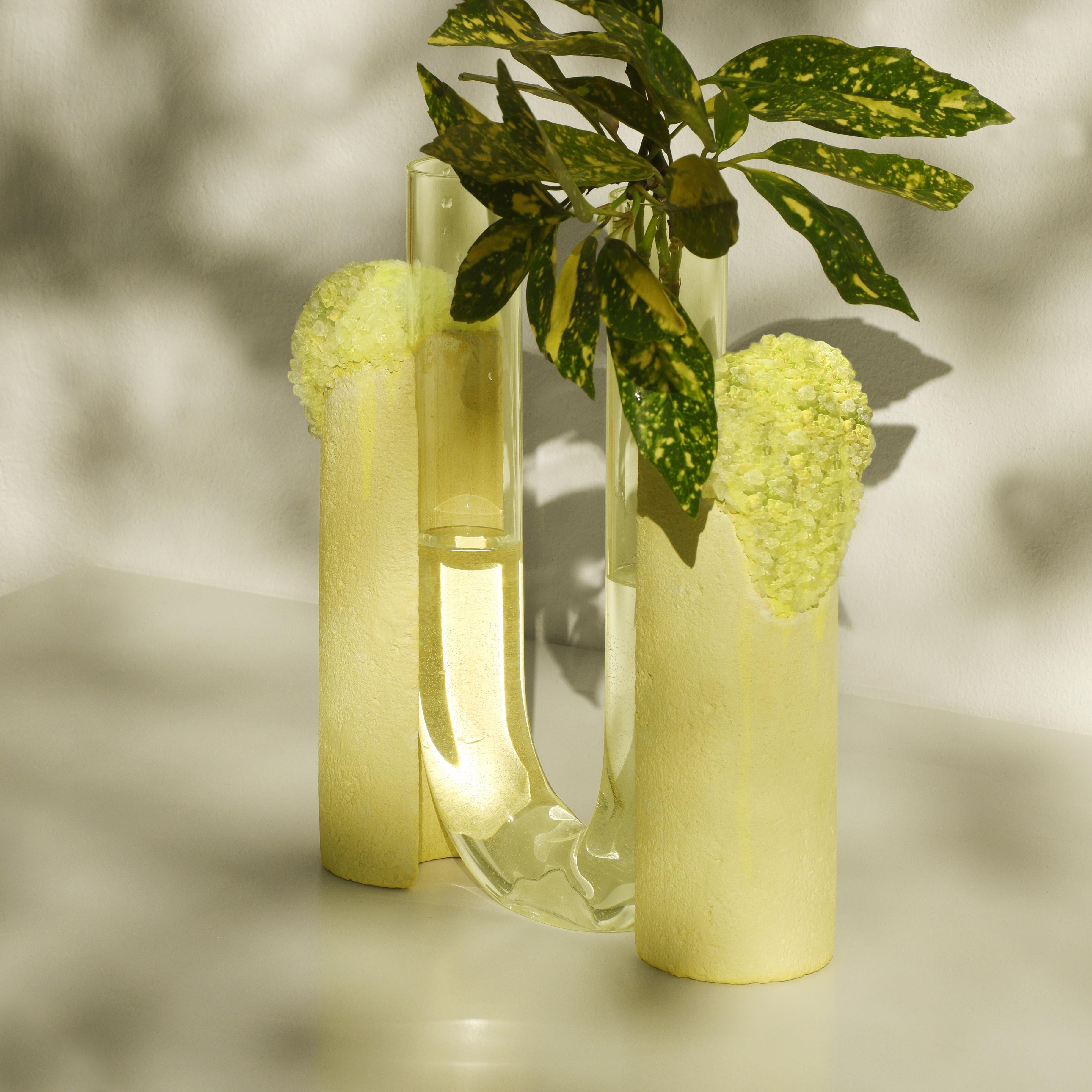 Italiano Vaso Summer Cochlea Dello Sviluppo Seasons Edition di Coki Barbieri in vendita