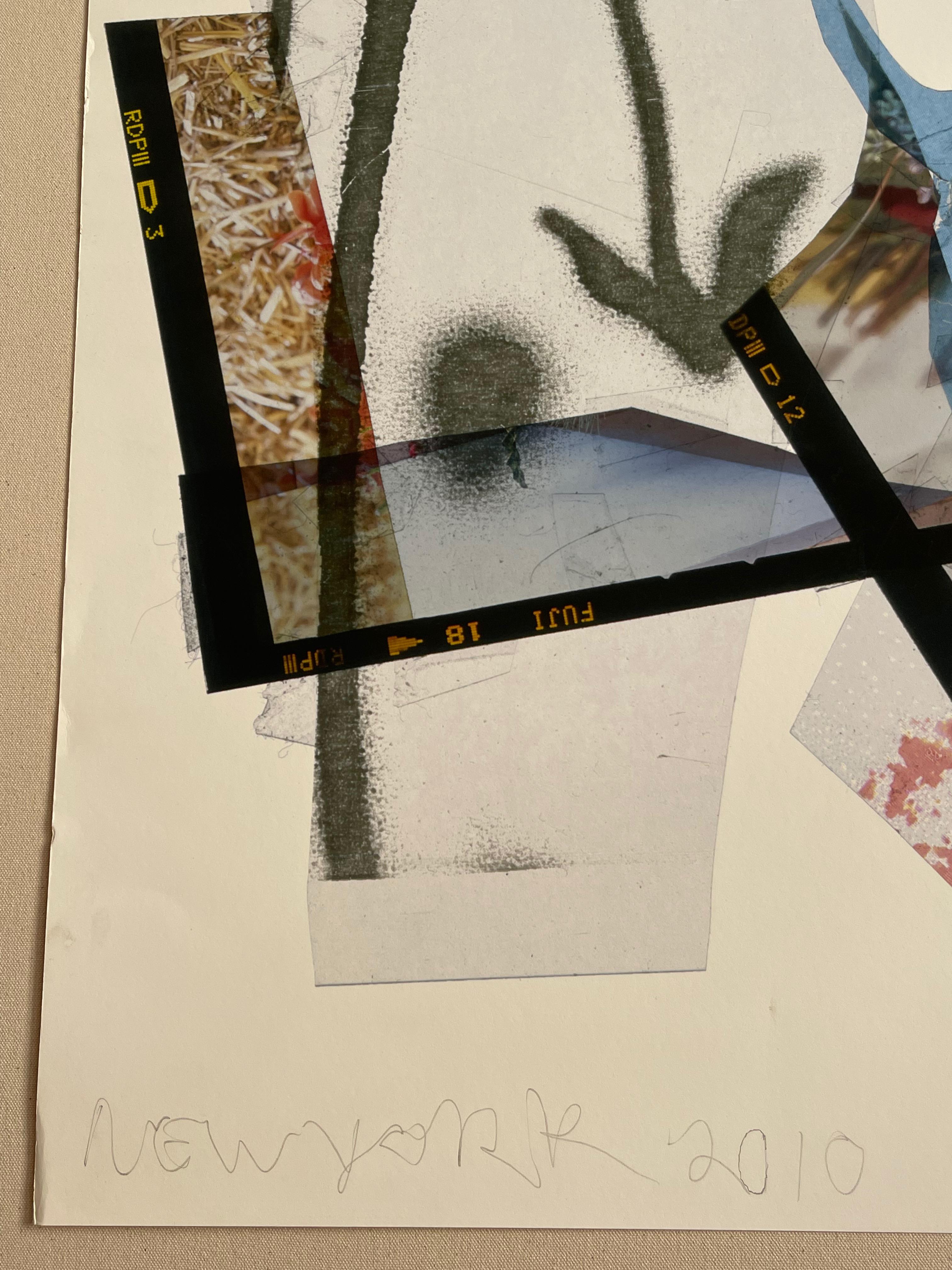 Sommerblumen Abstrakte Expressionistische Fotocollage von Peter Astrom im Angebot 7
