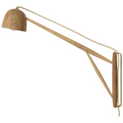Summer Studio Crane LED Swing Wall Lamp