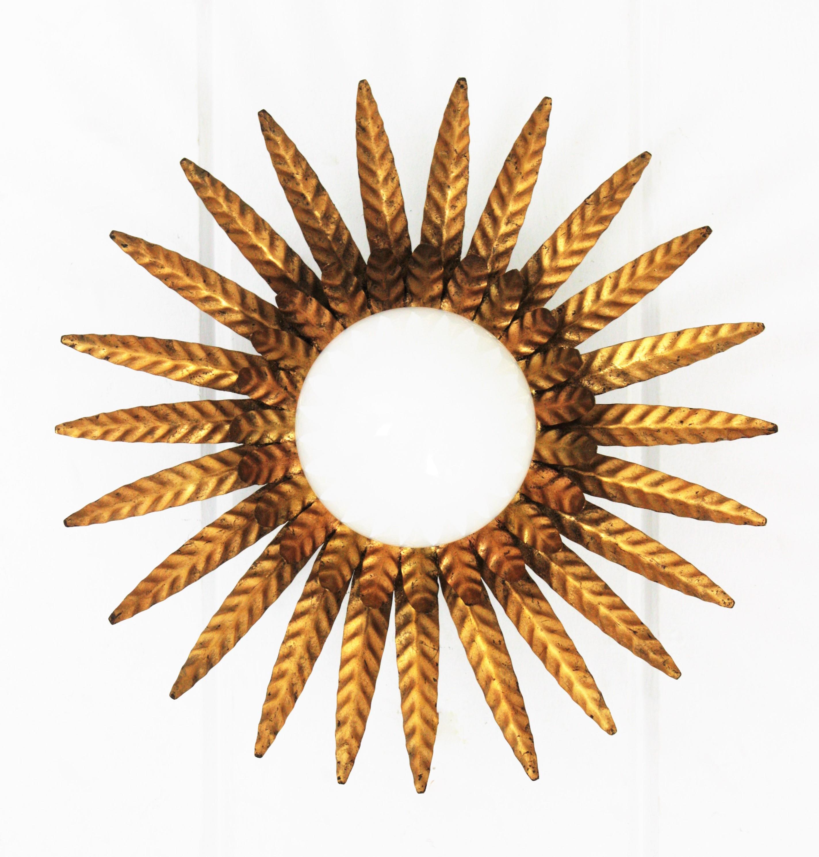 Mid-Century Modern Plafonnier Sunburst en fer doré avec globe en verre dépoli  en vente