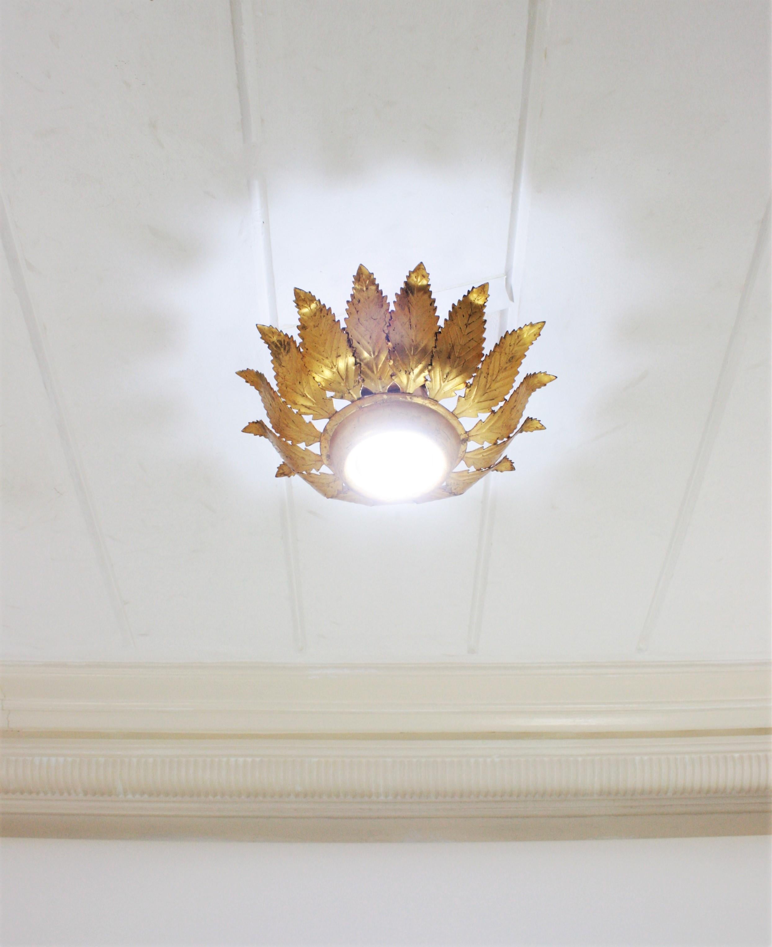 Sunburst Crown Leafed Light Fixture in Gilt Iron For Sale 2